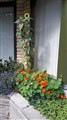 Resized_20170730_150159.jpeg
